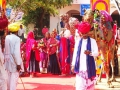 Camel Festival DSC05622